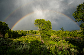 Double Rainbow